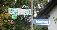 IMG_8905