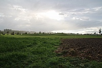 IMG_8912