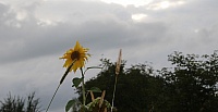 IMG_8915