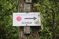 IMG_8564