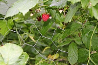 IMG_8576