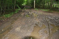 IMG_8577