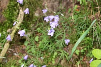 IMG_8583