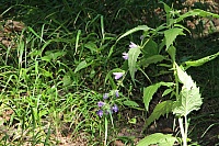 IMG_8661