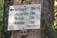 IMG_8666