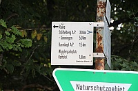IMG_8674