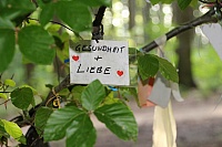 IMG_8686