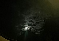 IMG-20211023-WA0001
