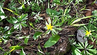 IMG-20210411-WA0005.jpg