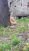 IMG-20210411-WA0025.jpg
