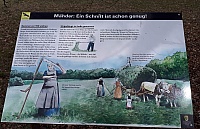 IMG-20210411-WA0037.jpg