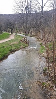 IMG-20210411-WA0046.jpg