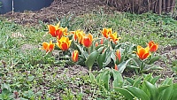 IMG-20210411-WA0073.jpg
