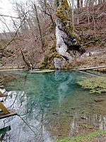 IMG-20210322-WA0004