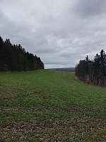 IMG-20210322-WA0010