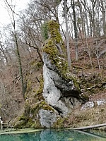 IMG-20210322-WA0012