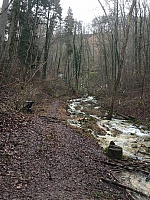 IMG_1522