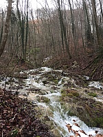 IMG_1526