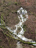 IMG_1528