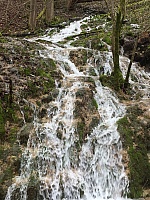 IMG_1530