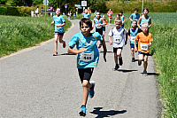 DSC_0782-1024x683