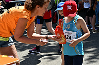 DSC_0807-1024x683