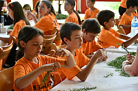 DSC_1207-1024x683