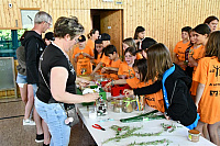 DSC_1208-1024x683