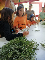 IMG-20220522-WA0100