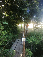 IMG-20220821-WA0006