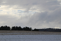 IMG_9332.JPG