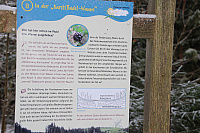 IMG_9339.JPG