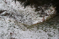 IMG_9351.JPG