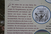 IMG_9353.JPG