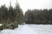 IMG_9362.JPG
