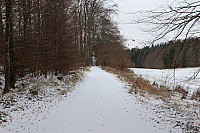 IMG_9363.JPG