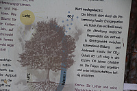 IMG_9367.JPG