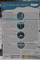 IMG_9374.JPG