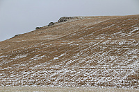 IMG_9375.JPG
