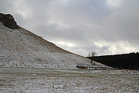 IMG_9377.JPG