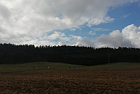 IMG-20220911-WA0026