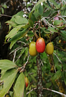 IMG-20220911-WA0032