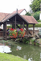 IMG-20220911-WA0049