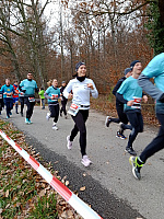 IMG_20221204_104116