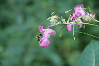 IMG_9766