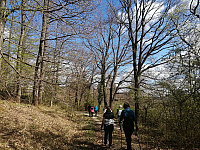 IMG-20220417-WA0051.jpg