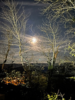 Foto 101122195649.jpg