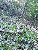 20231001_101402.jpg