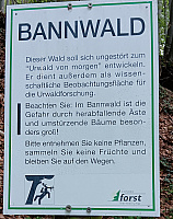 20230819_171222.jpg