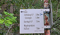 20230819_184105.jpg